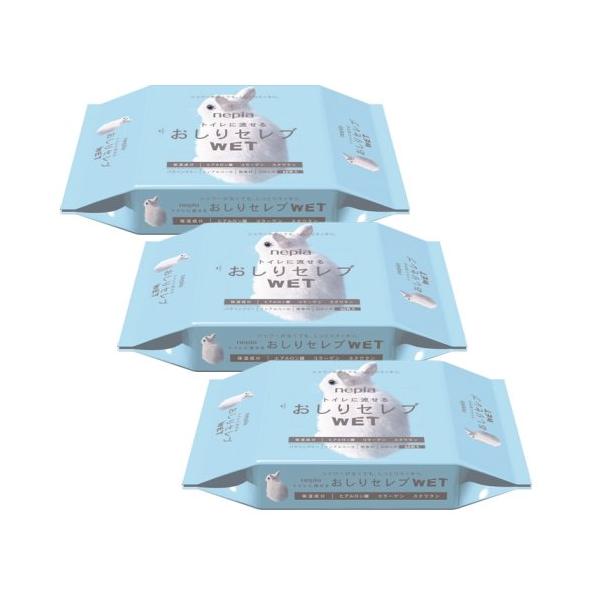 トイレに流せる、ウエットシートシャワーがなくてもしっとりスッキリ仕上げ拭きノンアルコールパラベンフリー無香料保湿成分（ヒアルロン酸・コラーゲン・スクワラン）配合日本製発売元:王子ネピア株式会社つめかえ用クリックポスト発送可クリックポストの場...