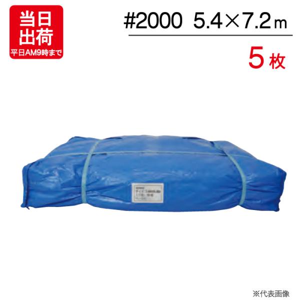 ブルーシート 5.4m×7.2m 輸入 #2000 5枚単位 ハトメ付 レジャー シート 