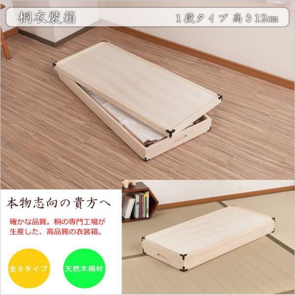 ˈߑ 1i 12cm t ˃P[X ߑP[X  N[[bg ˂ ۊǌ ۊǃP[X  ߗގ[ m 