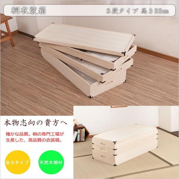 ˈߑ 3i 33cm t ˃P[X ߑP[X  N[[bg ˂ ۊǌ ۊǃP[X  ߗގ[ m 