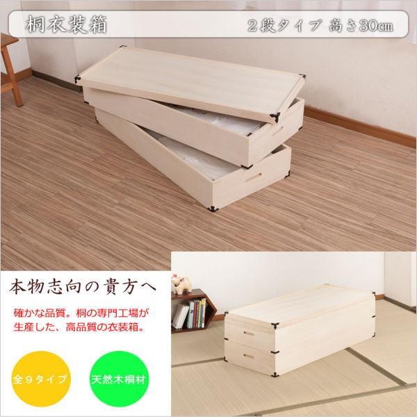 ˈߑ 2i 30cm t ˃P[X ߑP[X  N[[bg ˂ ۊǌ ۊǃP[X  ߗގ[ m 