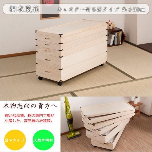 LX^[t ˈߑ 5i 59cm t ˃P[X ߑP[X LX^[  N[[bg ˂ ۊǌ a  ߗގ[