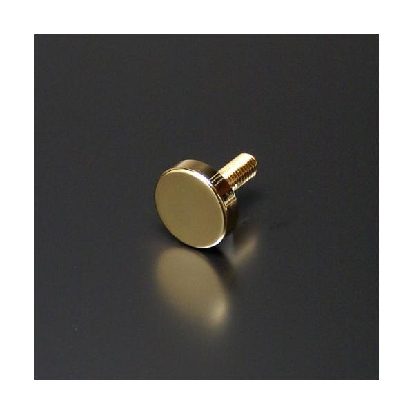 ���σr�X M6 25mm �{���g�� 24mm �^�J�� �t���b�g�^�C�v EPS-N25F-24 �S�[���h