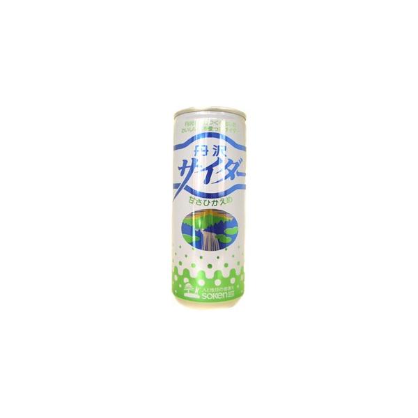 丹沢サイダー 250ml｜創健社