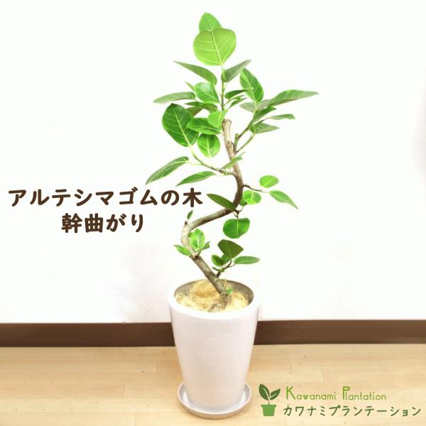 e-kawanami_kpt-0002