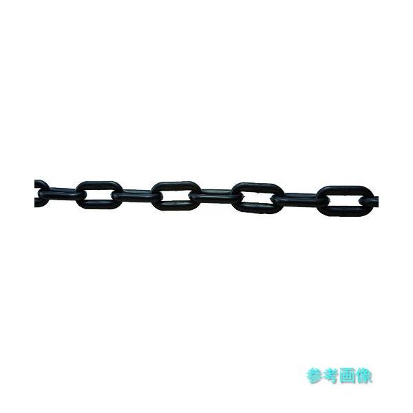 TRUSCO TPCB6-2BK プラチェーン 黒 6MMX2M