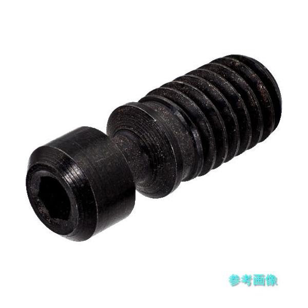 サンドビック（SANDVIK） SANDVIK 174.3-822M スクリュー(810
