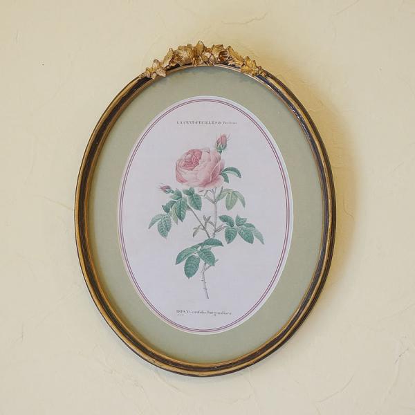 G CeA z C^A hD[e KN   ȉ~ I[o