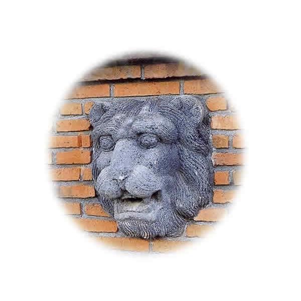 K[fjO GNXeA ǐ CI tFCX