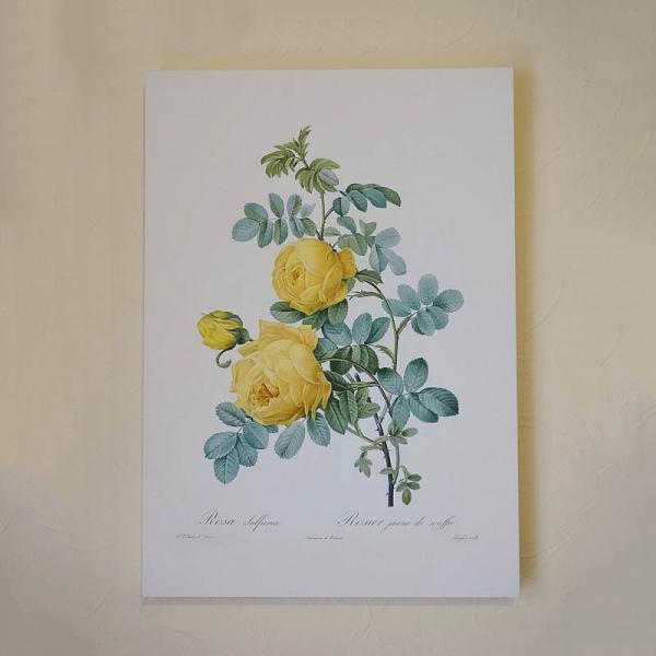 hD[e LoXGz o} A3TCY T XtAH F CG[  t[ AG o CeAG  u