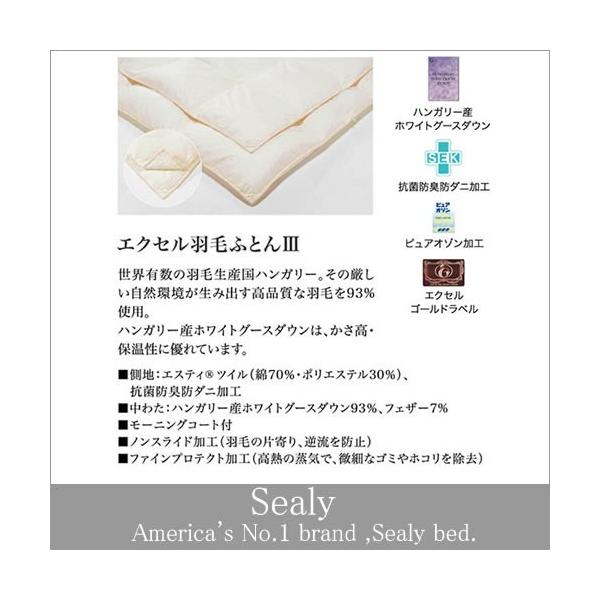 V[[xbh xbhANZT[ GNZHтӂƂIII _u(D)TCY {Ki