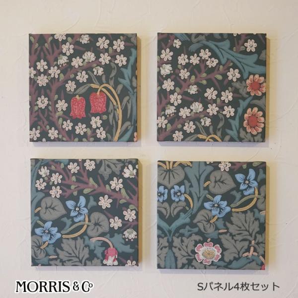 EBAX A[gpl ~jTCYS ǎ ubNg[ Blackthorn 4Zbg  ؐplgp