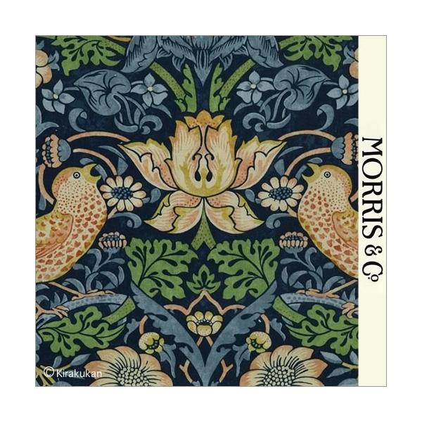 EBAX nvg z D_ Strawberry Thief s-t-2203131 CMX J[en