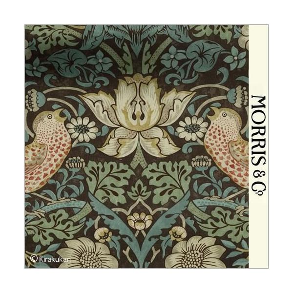 EBAX nvg z D_ Strawberry Thief s-t-2203111 CMX J[en