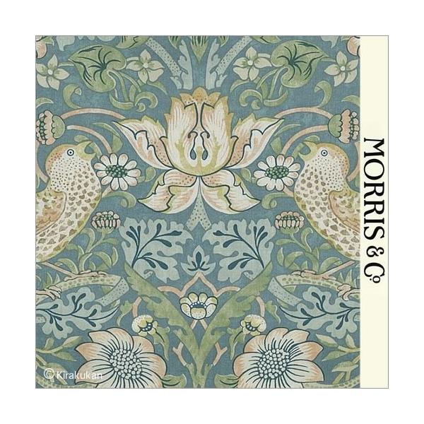 EBAX nvg z D_ Strawberry Thief s-t-2203141 CMX J[en