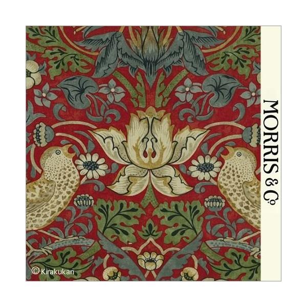 EBAX nvg z D_  Strawberry Thief s-t-2203121 CMX J[en