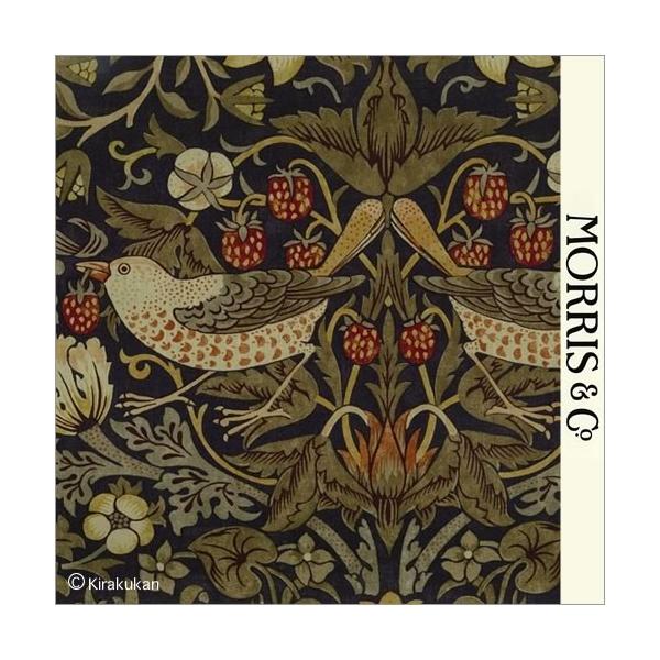 EBAX nvg z D_ Strawberry Thief s-t-220315 CMX J[en