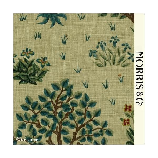 EBAX nvg z I[`[h Orchard o-220305 CMX J[en