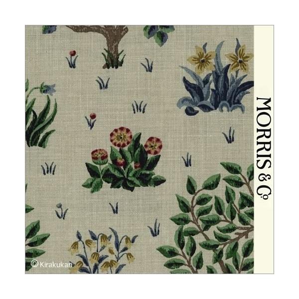 EBAX nvg z I[`[h Orchard o-220306 CMX J[en