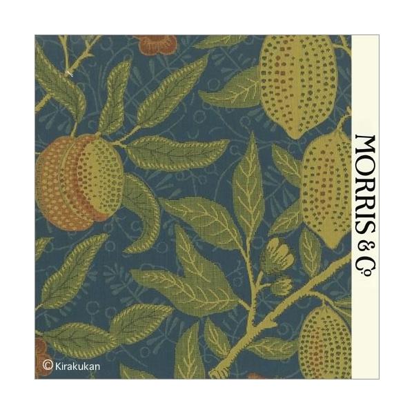 EBAX nD t[c Fruit f-230284 CMX J[en