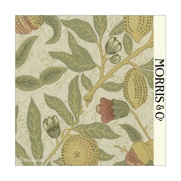 EBAX nD t[c Fruit f-230285 CMX J[en