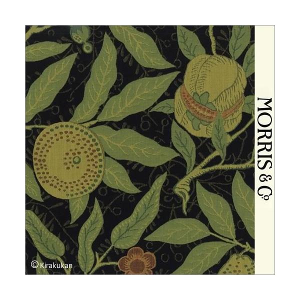 EBAX nD t[c Fruit f-230286 CMX J[en