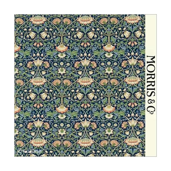 EBAX nvg z Ef Lodden darp222521 CMX J[en