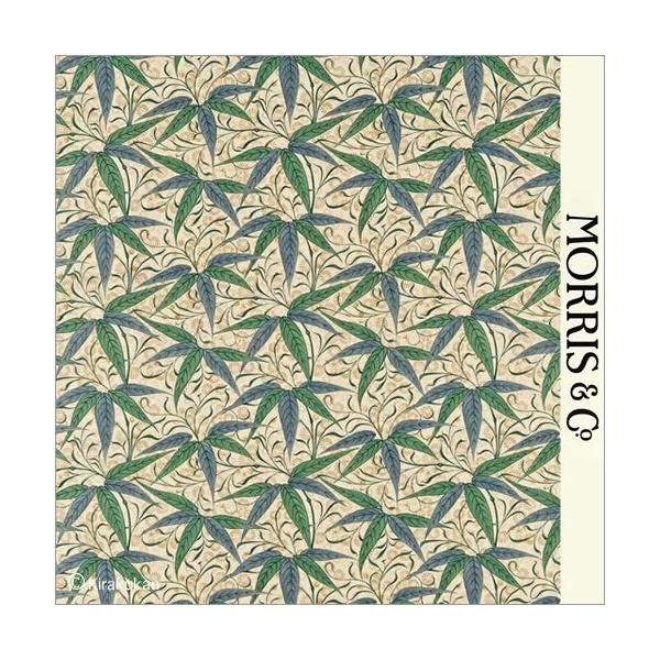 EBAX nvg z ou[ Bamboo darp222526 CMX J[en