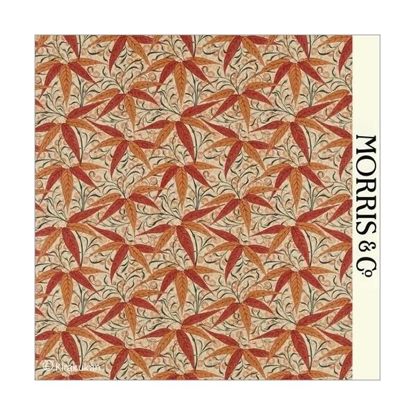 EBAX nvg z ou[ Bamboo darp222527 CMX J[en