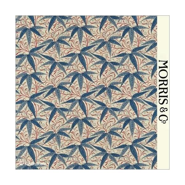 EBAX nvg z ou[ Bamboo darp222528 CMX J[en