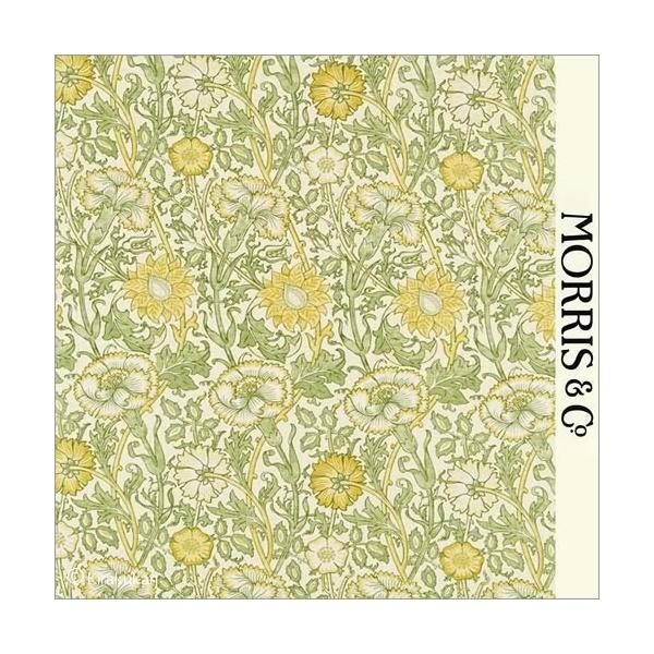 EBAX nvg z sN  [Y Pink and Rose darp222530 CMX J[en