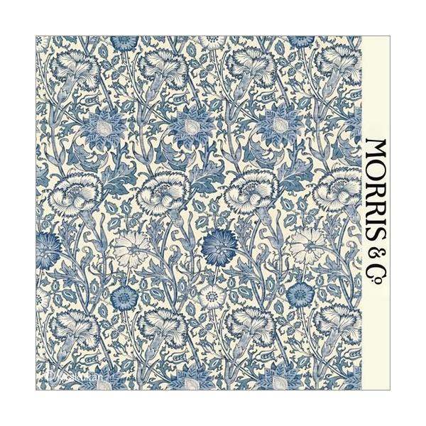 EBAX nvg z sN  [Y Pink and Rose darp222531 CMX J[en