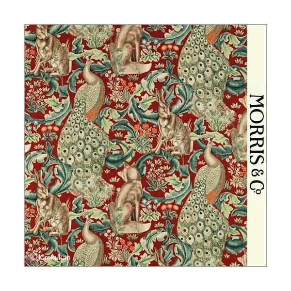 EBAX nvg z tHXg Forest darp222533 CMX J[en