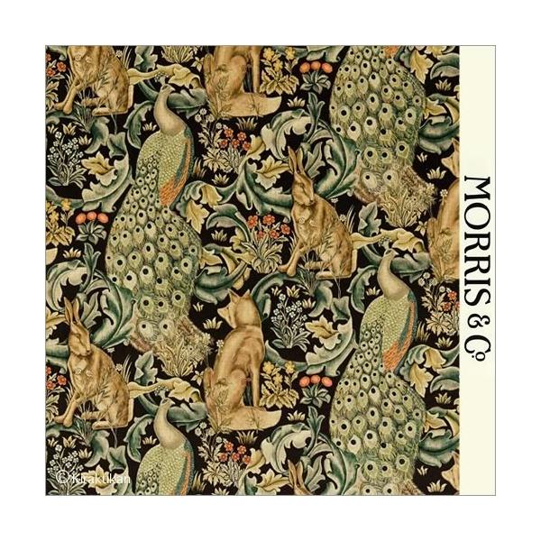 EBAX nvg z tHXg Forest darp222535 CMX J[en