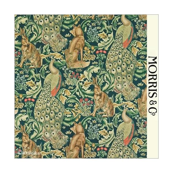 EBAX nvg z  tHXg Forest darp222643 CMX J[en