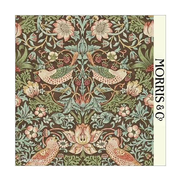 EBAX ǎ D_ Strawberry Thief darw212565 (10m/1) Aǎ EH[y[p[ CMX