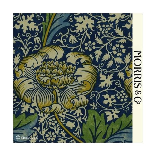 EBAX nvg z Plbg Knnet k-220322 CMX J[en