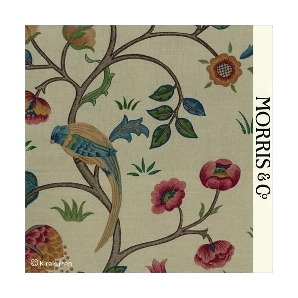 EBAX nvg z PXRbgc[ Keimscott Tree k-t-220327 CMX J[en