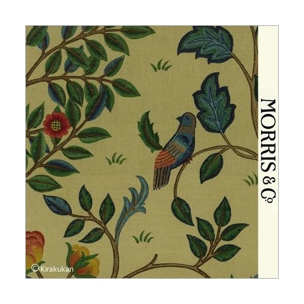 EBAX nvg z PXRbgc[ Keimscott Tree k-t-220328 CMX J[en