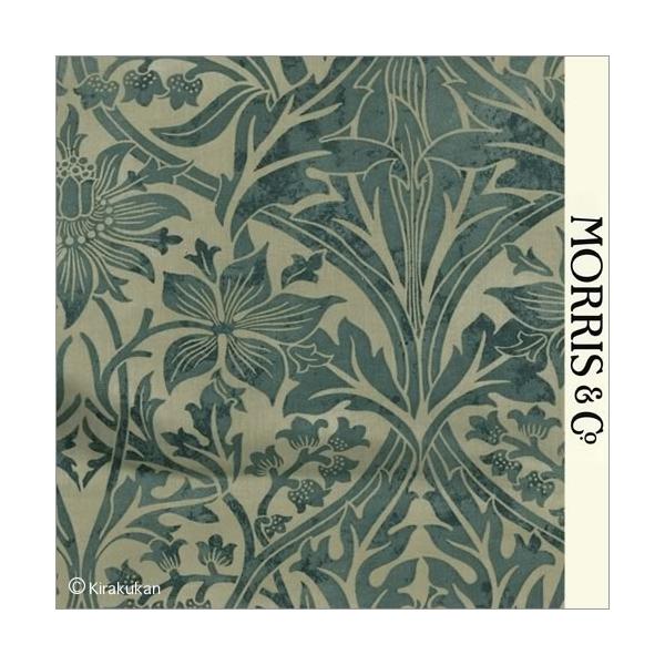 EBAX nvg z CMX J[en u[x Bluebell b-b-220329 CMX J[en