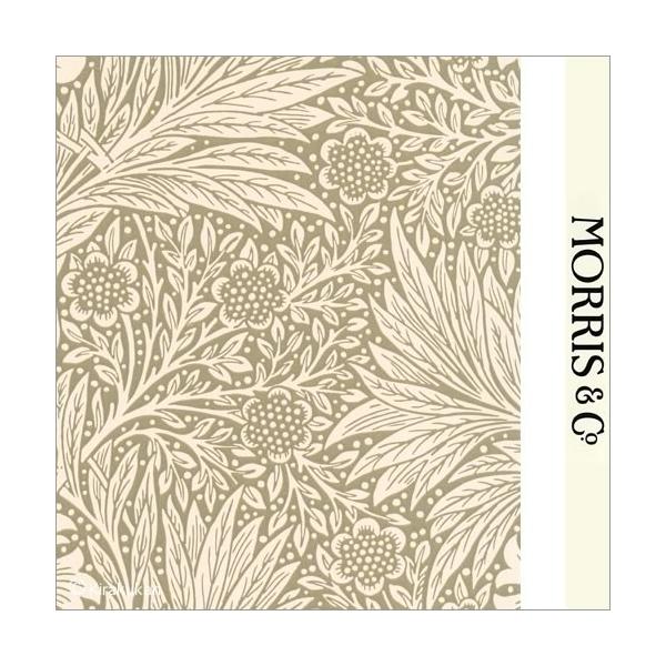 EBAX ǎ }[S[h Marigold m-210371 (10m/1) Aǎ EH[y[p[ CMX