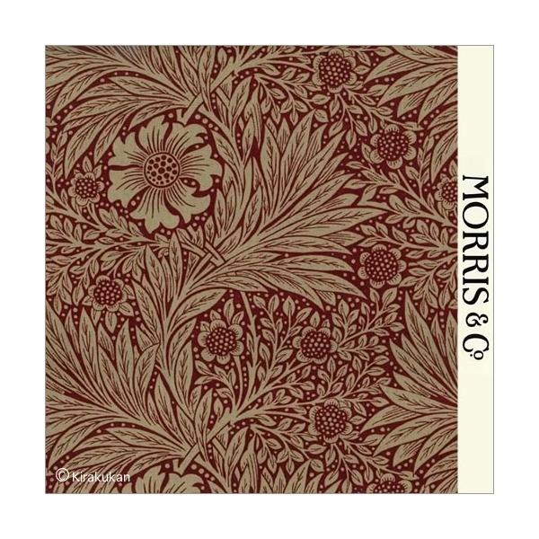 EBAX nvg z }[S[h Marigold m-220317 CMX J[en