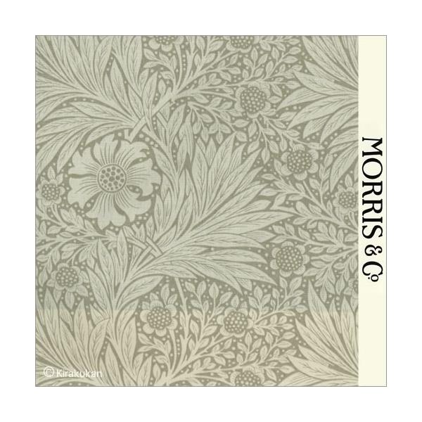 EBAX nvg z }[S[h Marigold m-220319 CMX J[en