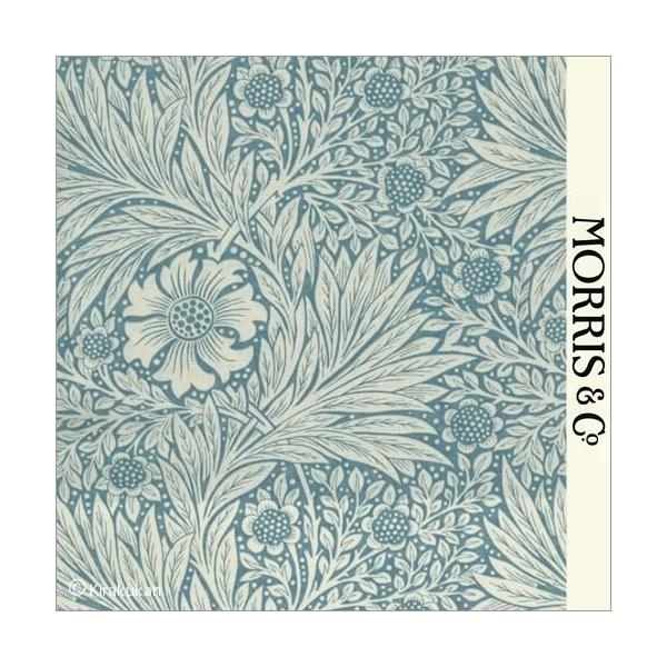 EBAX nvg z }[S[h Marigold m-220321 CMX J[en