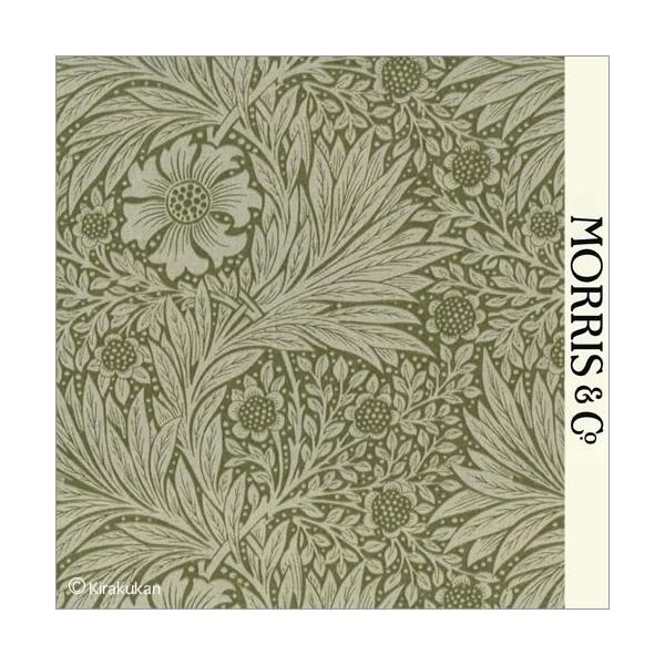 EBAX nvg z }[S[h Marigold m-220318 CMX J[en