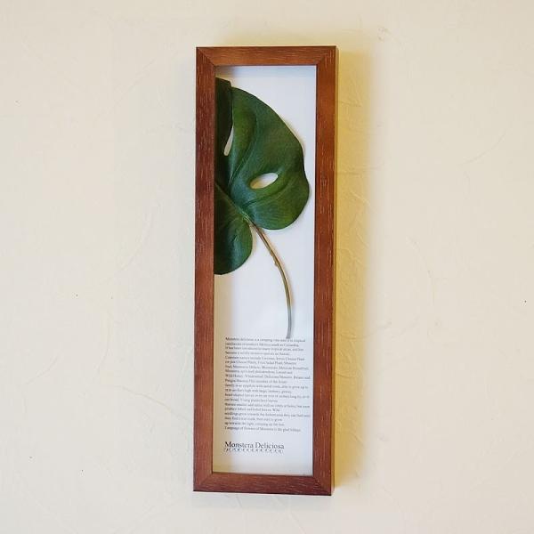 [tt[ pl XeII z c^ uE  ϗtA CeAG  u G