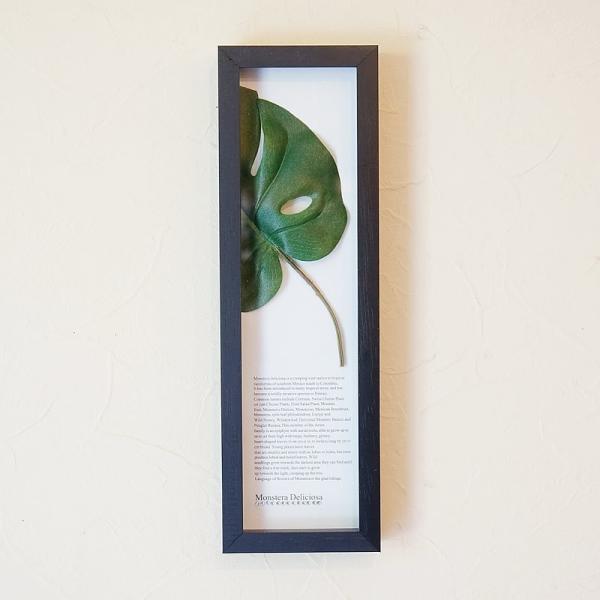 [tt[ pl XeII z c^ ubNg  ϗtA  G