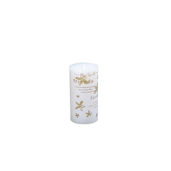 �L�����h���iFRIENDS FOREVER�j [24131] ��75×H150 ���m�Αn ThE GROBAL MARKET(�O���[�o���}�[�P�b�g) ���[�J�[����