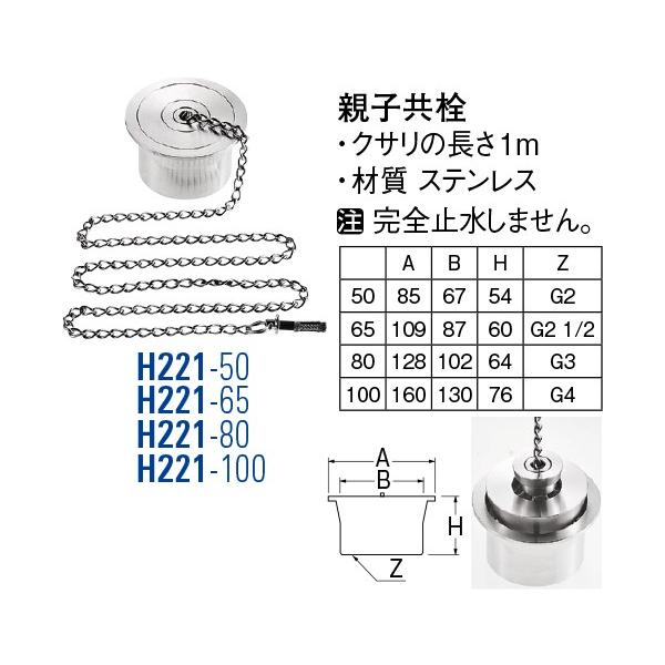 eq H221-50[30711155] SANEI Oh𐻍쏊