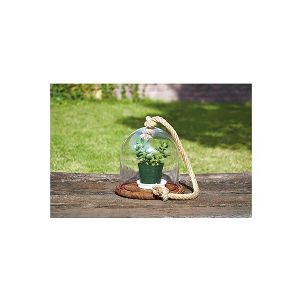 KXI[ig [82084] 250×H260 mΑn GARDEN COLLECTIONT(K[fRNV) [J[